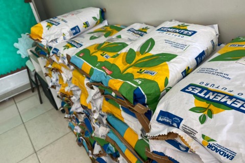 Prefeitura de Lagarto em parceria com a Emdagro inicia distribuição de sementes de Milho